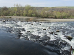 The Tweed near Melrose The Tweed near Melrose