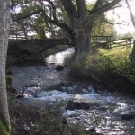 Welcome to Bowden Village Website