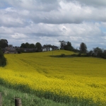 Welcome to Bowden Village Website